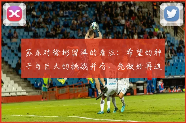 苏东对徐彬留洋的看法：希望的种子与巨大的挑战并存，先做好再追求完美